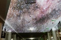 e0e9909bd22c8559a148513748eed020