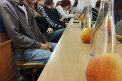 31c7e41125e5adb66b8879c9528bc04a