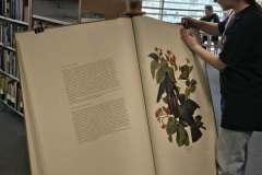 4706fce7-050e-4a77-b2ff-0b21526b20d9-1