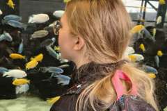 c721702a-b2ef-48cb-8c54-5ac3762a6a77